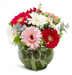 Cam Fanus Rengarenk Gerbera Aranjmanı
